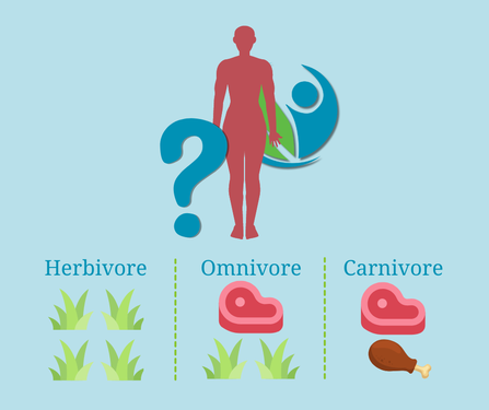 are you a herbivore, and omnivore, or a carnivore